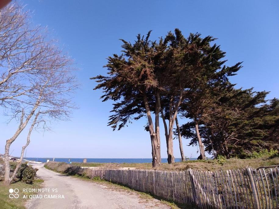 Apartmán Logement En Rdc Port Haliguen Quiberon Exteriér fotografie